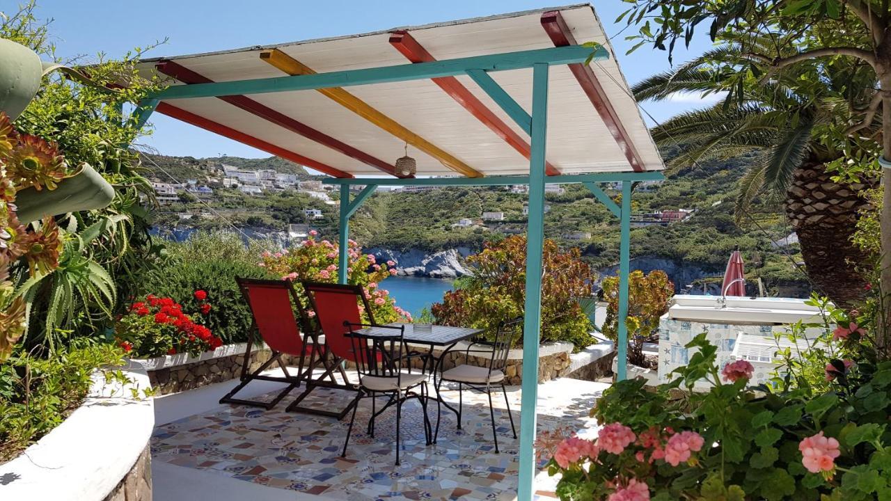 L'incanto Di Cala Feola Ponza