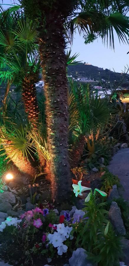 L'incanto Di Cala Feola * Ponza